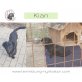 Kian, Dackel-ix - Rüde
