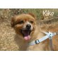 Kiko- wurde fast totgebissen!!!, Mischling - Rüde