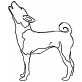 Kila Kuimba , Basenji - Rüde