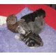 Kitten männl. & weibl. in versch. Farben, Britisch Kurzhaarkatze - Kater