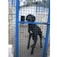 Kleopatra, Deutsche Dogge - Hündin