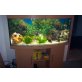Komplett Aquarium