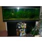 Komplettaquarium mit Unterschrank und Fischen