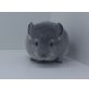 Kurzschwanzchinchilla - männlich