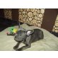 Kyra, Französische Bulldogge Welpen - Hündin