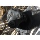 LARA, Labrador-Mix - Hündin