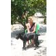 Labrador Mix - Rüde