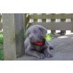 Labrador Retriever Welpen - Hündin