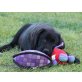 Labrador Retriever Welpen - Hündin