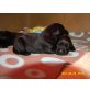 Labrador Retriever Welpen - Rüde
