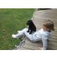 Labradormix Welpen - Rüde