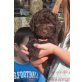 Lagotto Romagnolo Welpen - Hündin
