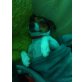Laica, Jack-Russell-Terrier - Hündin
