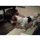Lakota von Silvermoon, Jack-Russell-Terrier - Rüde