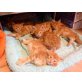 Landrys G-Wurf, Maine Coon - Kater