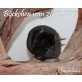 Langschwanzchinchilla