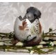 Langschwanzchinchilla - männlich