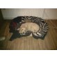 Layla, Golden Retriever Welpen - Hündin
