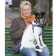 Leo, Jack-Russell-Terrier - Rüde