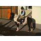Leonie, Shetland Pony - Stute