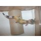 Leopardgecko - weiblich
