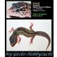 Leopardgecko - weiblich