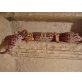 Leopardgecko - weiblich