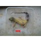 Leopardgecko - weiblich