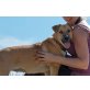 Lexi, 1 Jahr, 50 cm, absoluter Familienhund, Mischling - Hündin