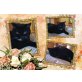 Linda, Isabella, Britisch Kurzhaarkatze - Katze