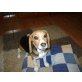 Lorena, Beagle - Hündin