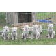 Luca , Dogo Argentino Welpen - Rüde