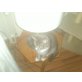Lucky, Hauskatze - Kater