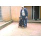 Lucky, Traum-Rotti sucht Zuhause - Rüde