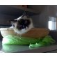 Lucy, Wurfankündigung Ragdollkitten - Katze