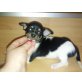 MINI CHIHUAHUA FLEDERMAUSOHREN, Chihuahua kurzhaariger Schlag Welpen - Hündin