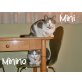 MINI & MININO.. sind soo lieb!, Mischling - Kater