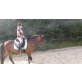 Magic Merlin, Kinder-Reitponywallach - Wallach
