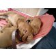 Magyar Vizsla - Hündin