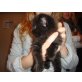 Maincoon/Perser - Kater