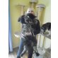 Maine Coon - Kater
