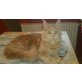 Maine Coon - Katze