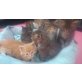 Maine Coon - Katze