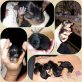 Malteser/ Australian Silky Terrier Welpen - Rüde