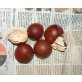 Marans in silber und kupferfarben - männlich