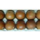 Marans - weiblich