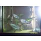 Marmor Fadenfisch