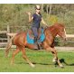 Maya, Deutsches Reitpony - Stute