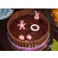 ☀ Meerschweinchen ☀, GH / Rex / Rosette