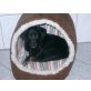 Melly, Labrador kleinbleibend Welpen - Hündin